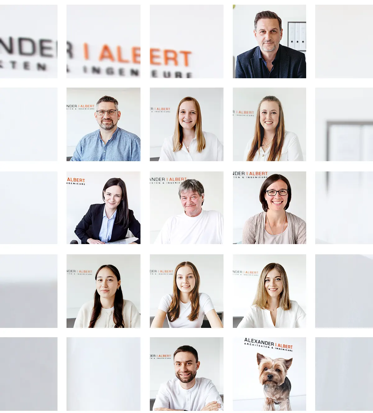 Team von Alexander Albert