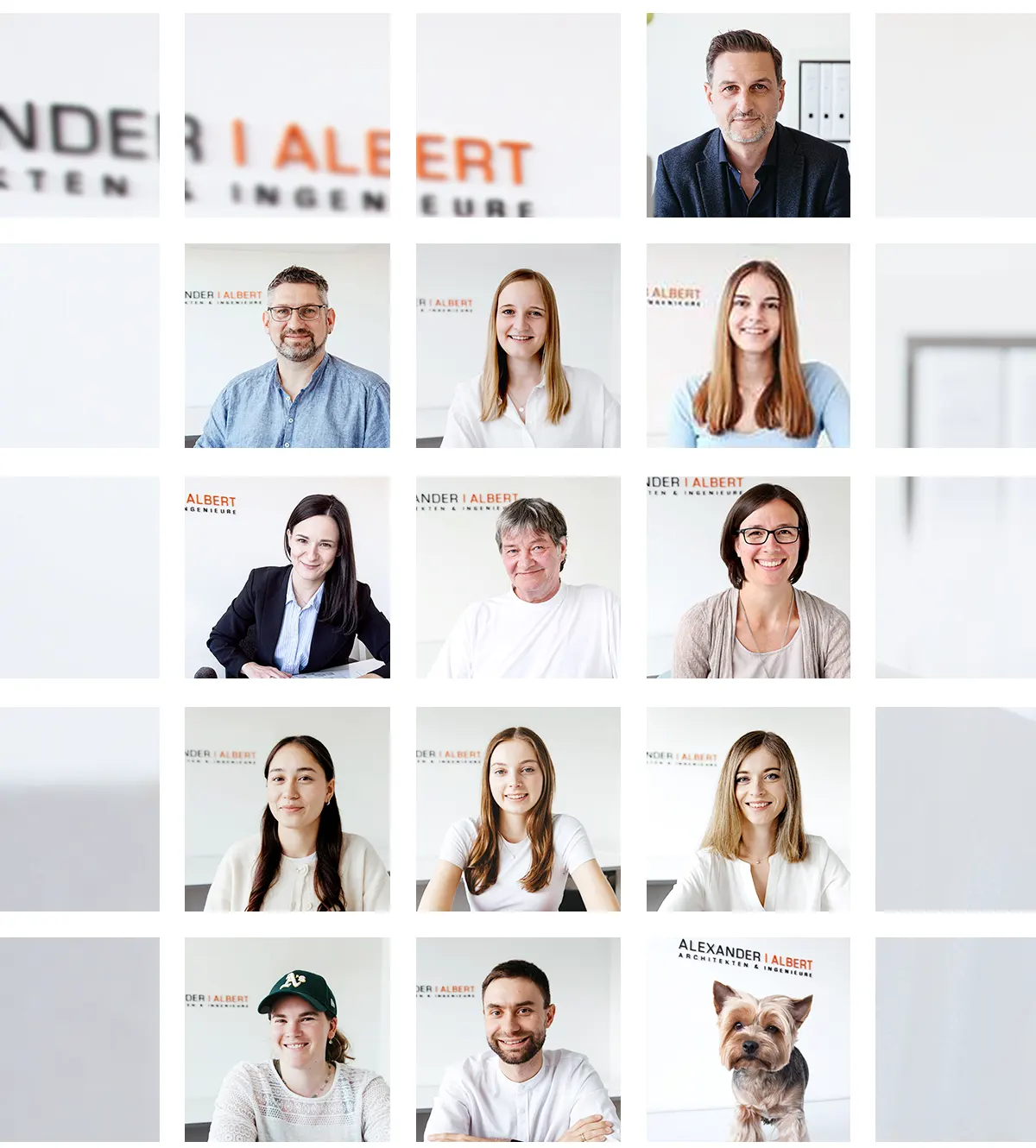Team von Alexander Albert